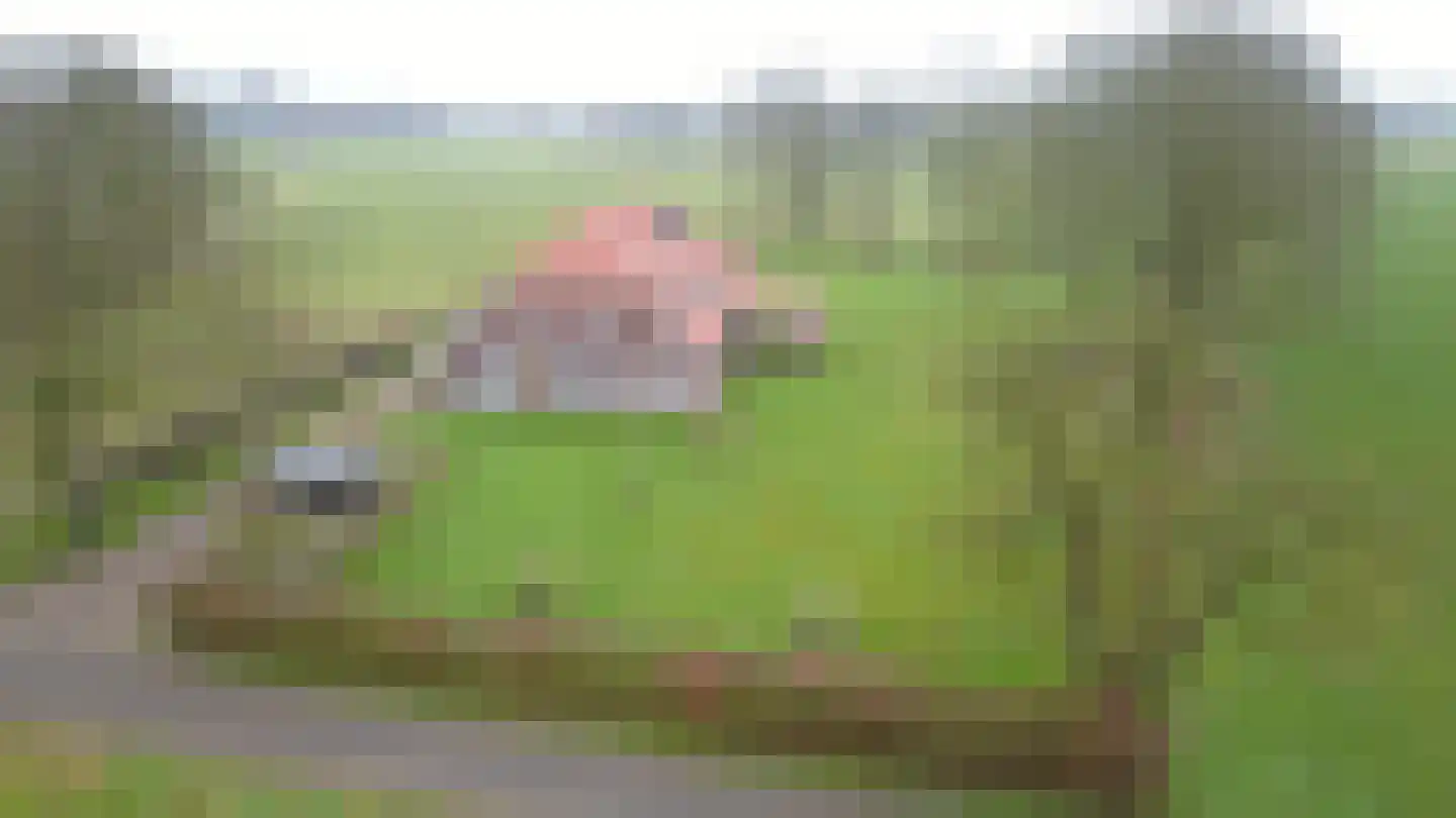 Terborgseweg 11 Breedenbroek thumbnail 48