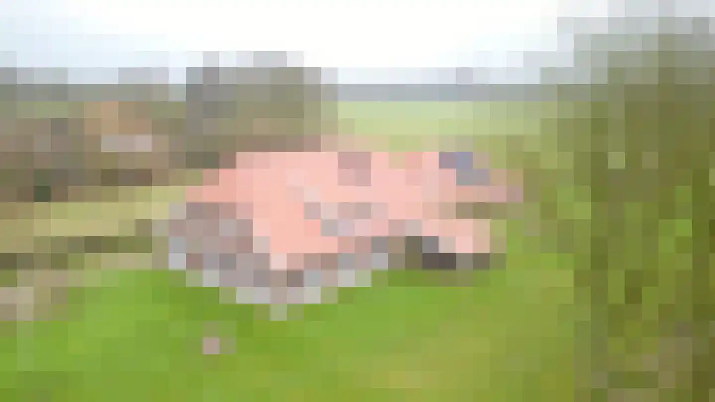 Terborgseweg 11 Breedenbroek thumbnail 49