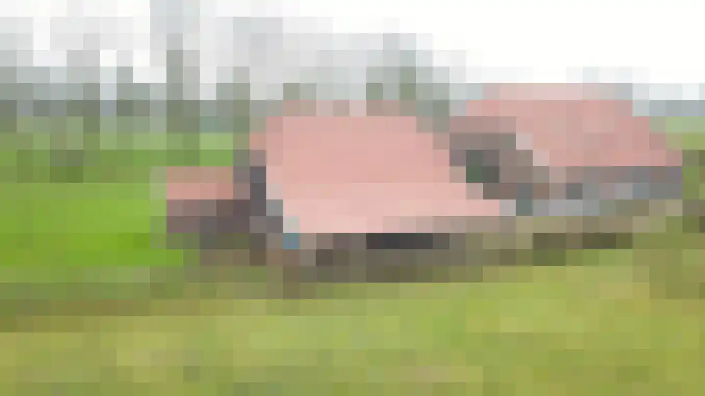 Terborgseweg 11 Breedenbroek thumbnail 50
