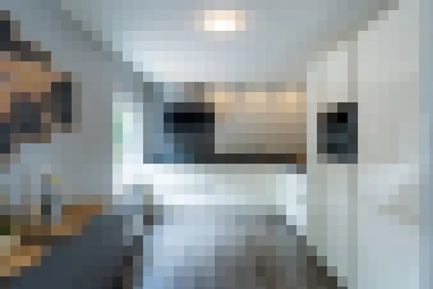 Terborgseweg 11 D Silvolde thumbnail 10