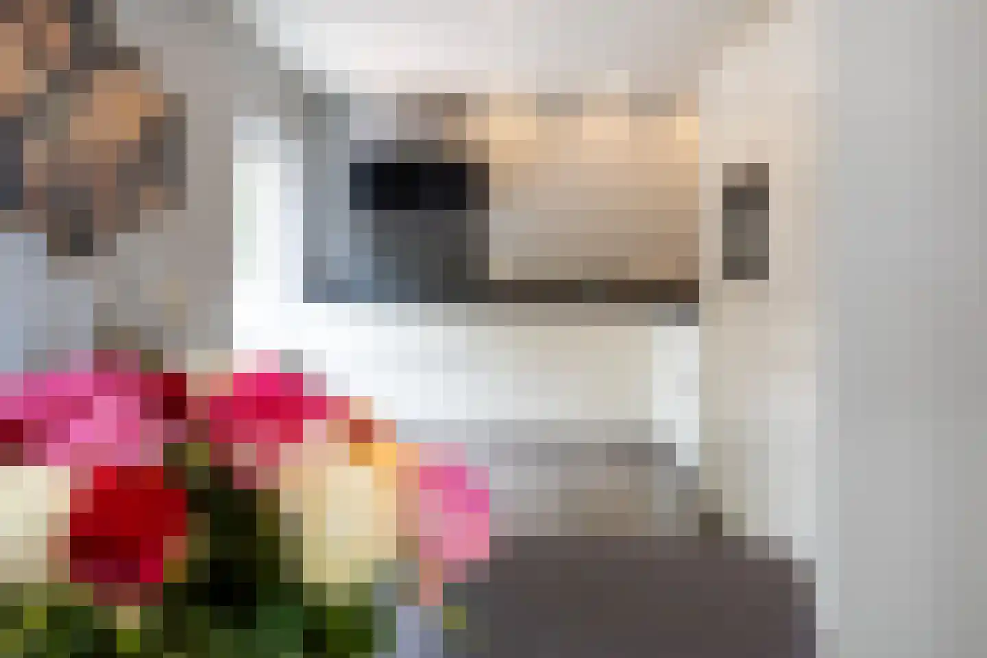 Terborgseweg 11 D Silvolde thumbnail 13