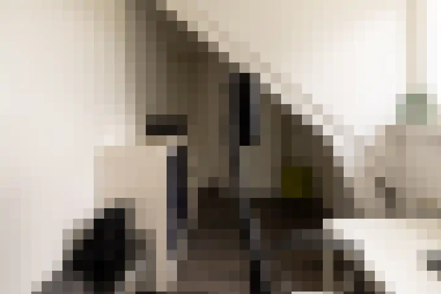 Terborgseweg 11 D Silvolde thumbnail 24