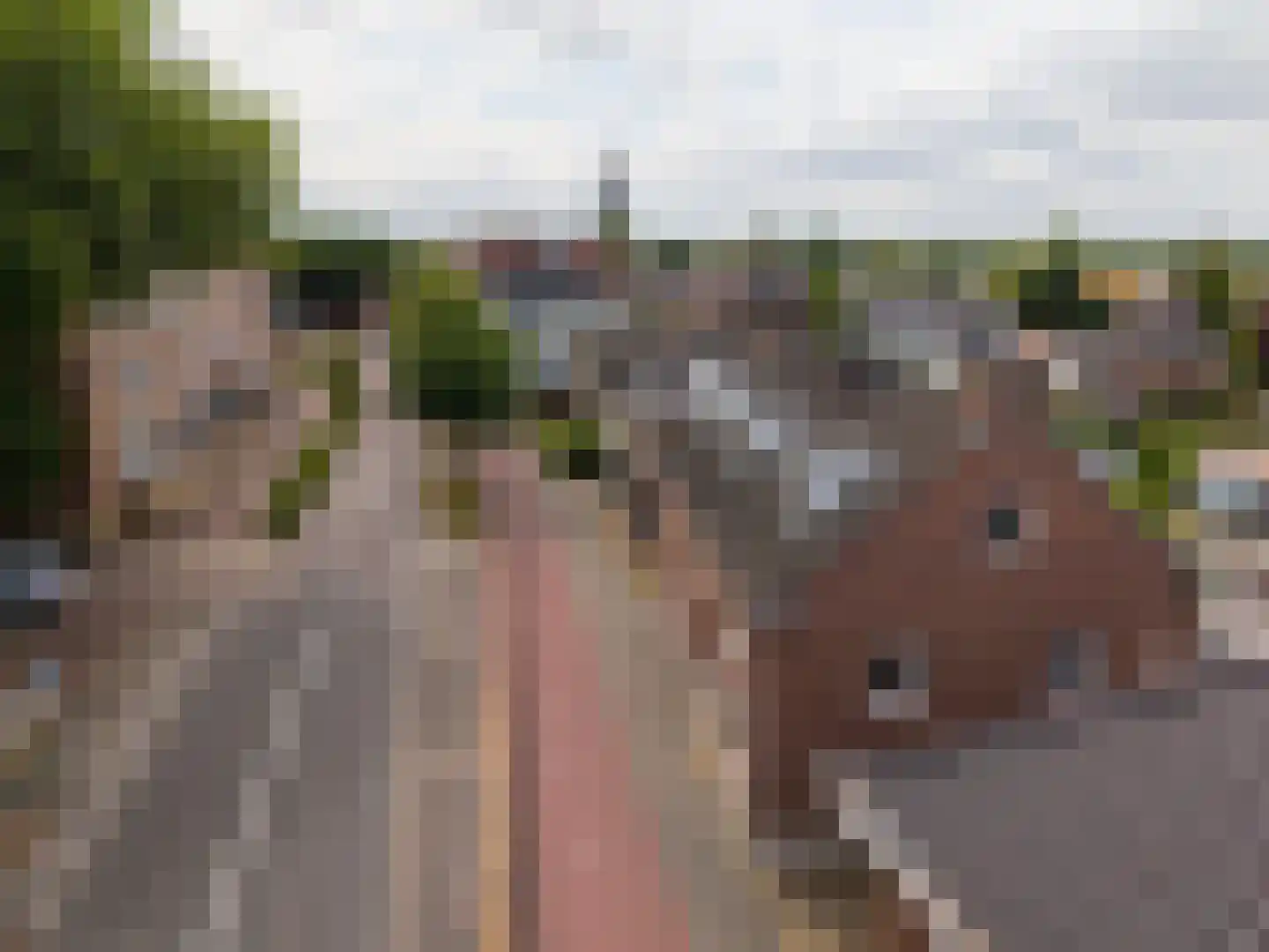 Terborgseweg 11 D Silvolde thumbnail 4