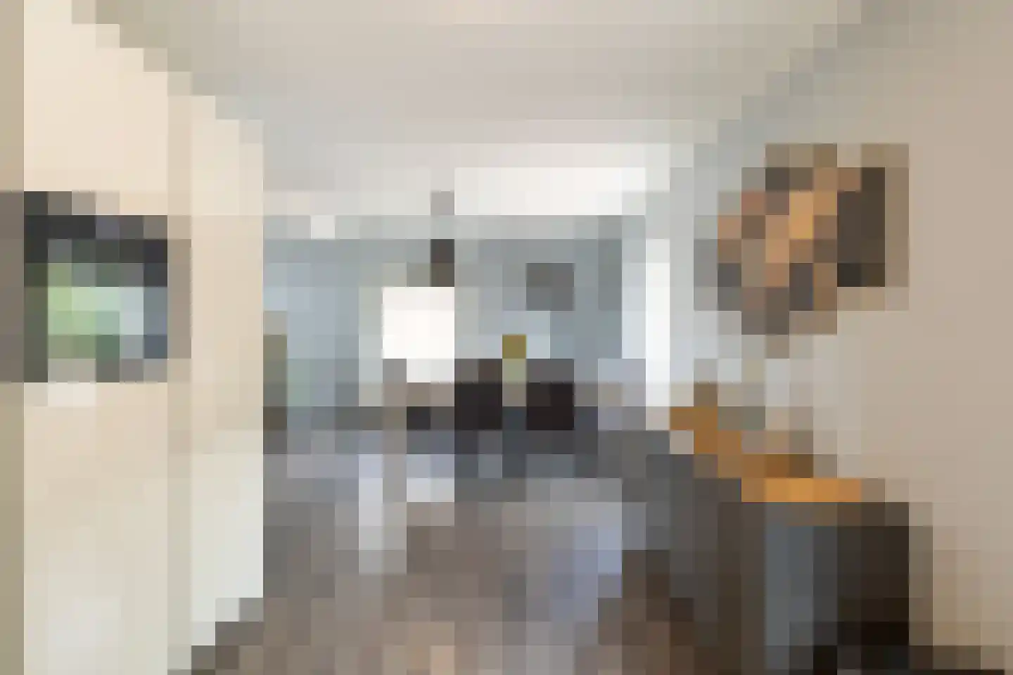 Terborgseweg 11 D Silvolde thumbnail 6