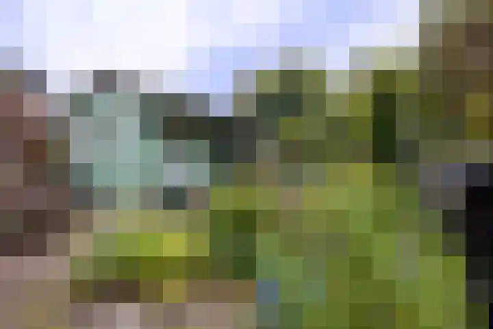 Terborgseweg 117 Doetinchem thumbnail 25