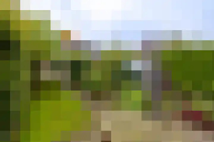Terborgseweg 117 Doetinchem thumbnail 30