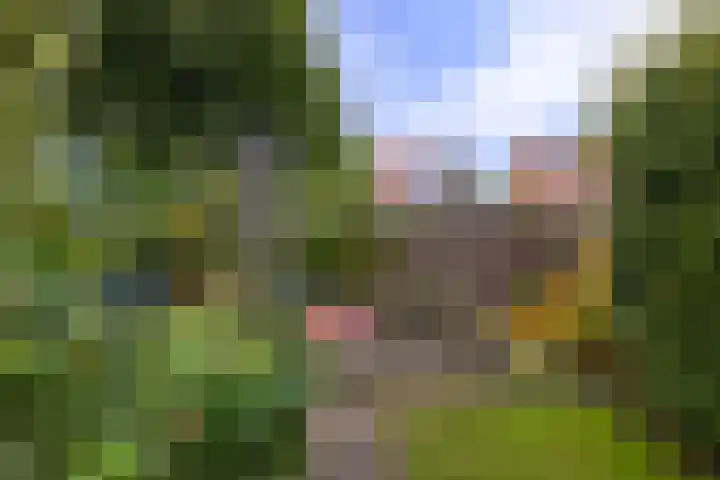 Terborgseweg 117 Doetinchem thumbnail 31