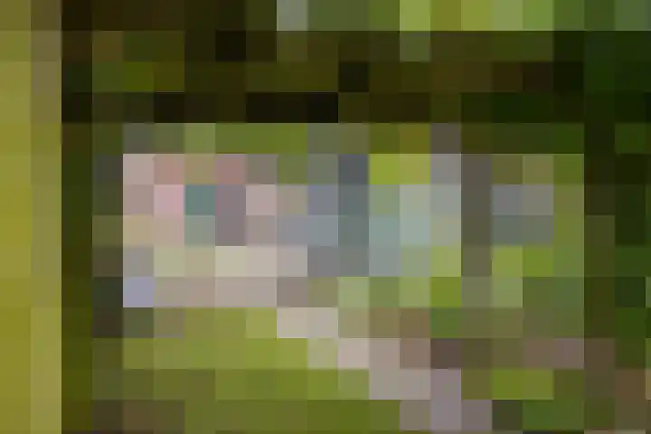 Terborgseweg 117 Doetinchem thumbnail 32