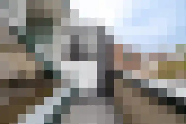 Terborgseweg 117 Doetinchem thumbnail 44