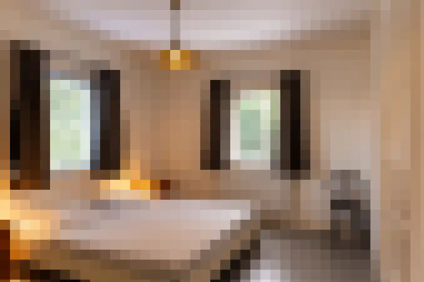 Terborgseweg 13 Silvolde thumbnail 20