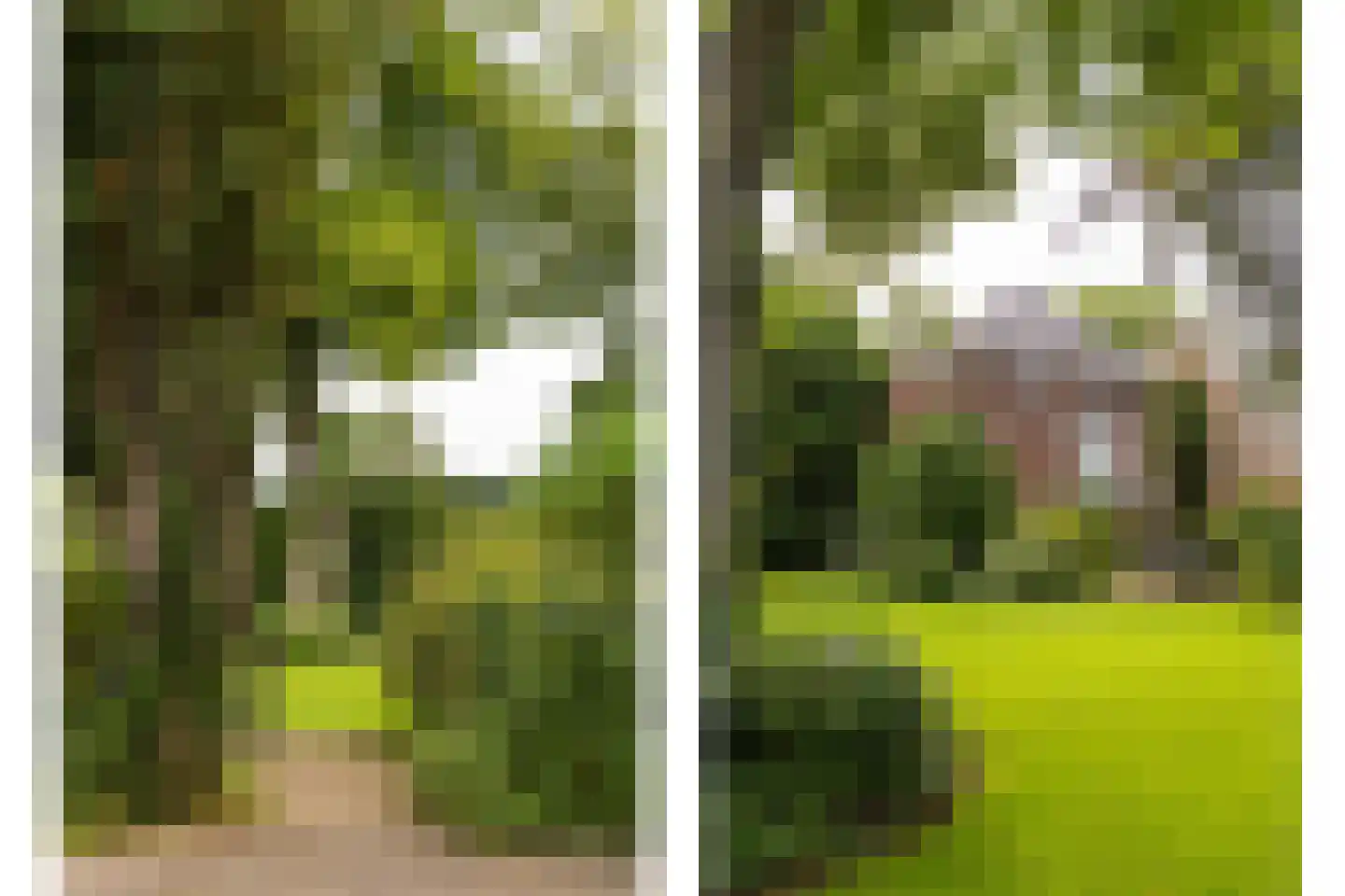 Terborgseweg 13 Silvolde thumbnail 40