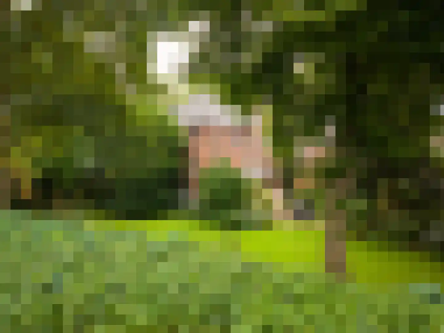 Terborgseweg 13 Silvolde thumbnail 41