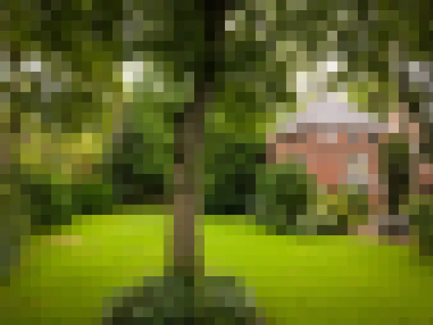 Terborgseweg 13 Silvolde thumbnail 42