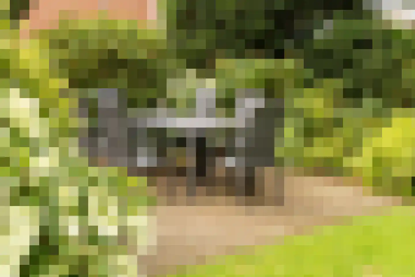 Terborgseweg 13 Silvolde thumbnail 44