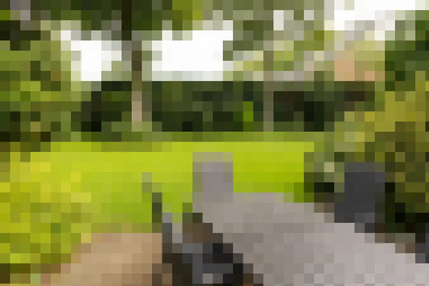 Terborgseweg 13 Silvolde thumbnail 45
