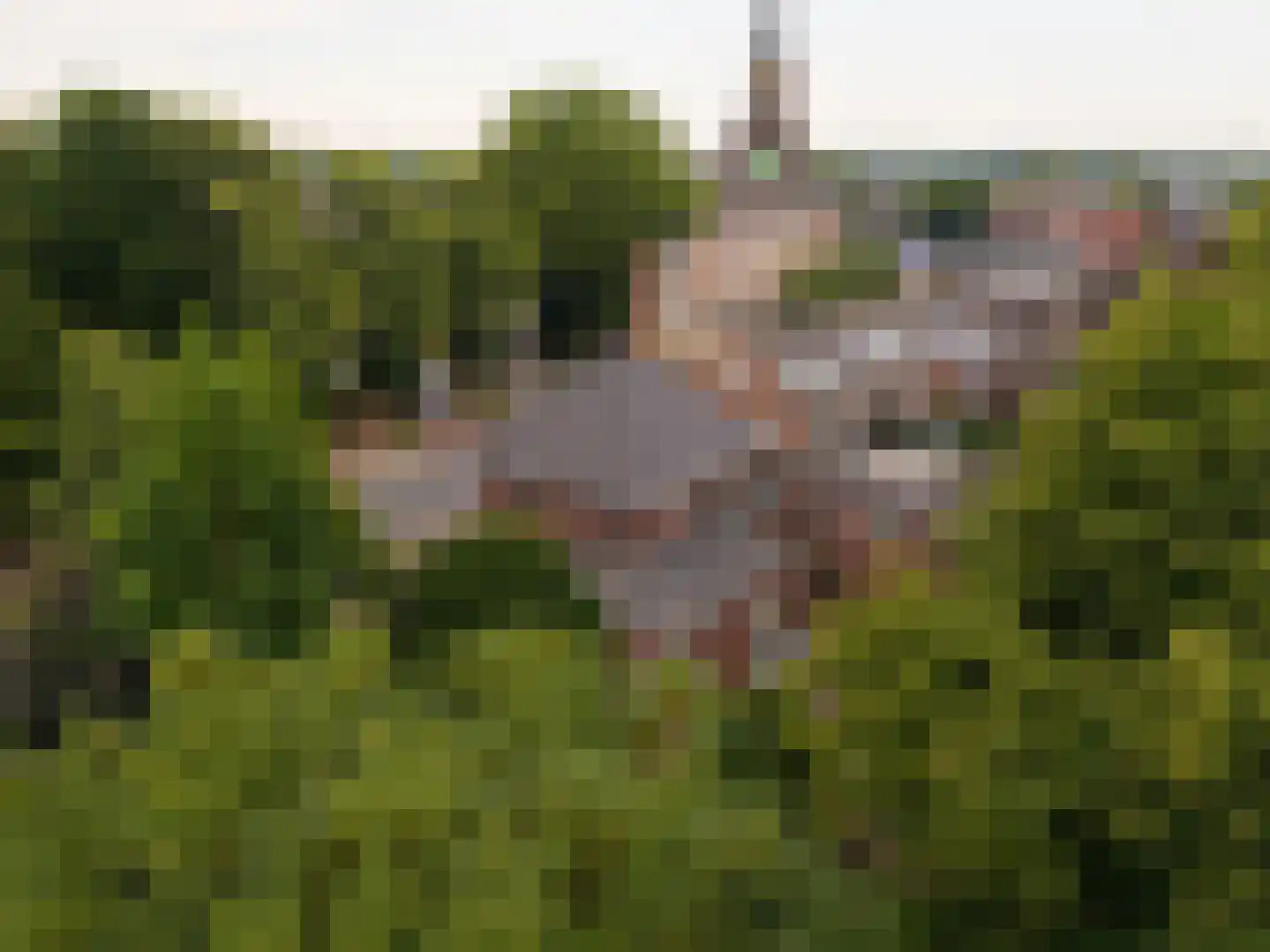 Terborgseweg 13 Silvolde thumbnail 50