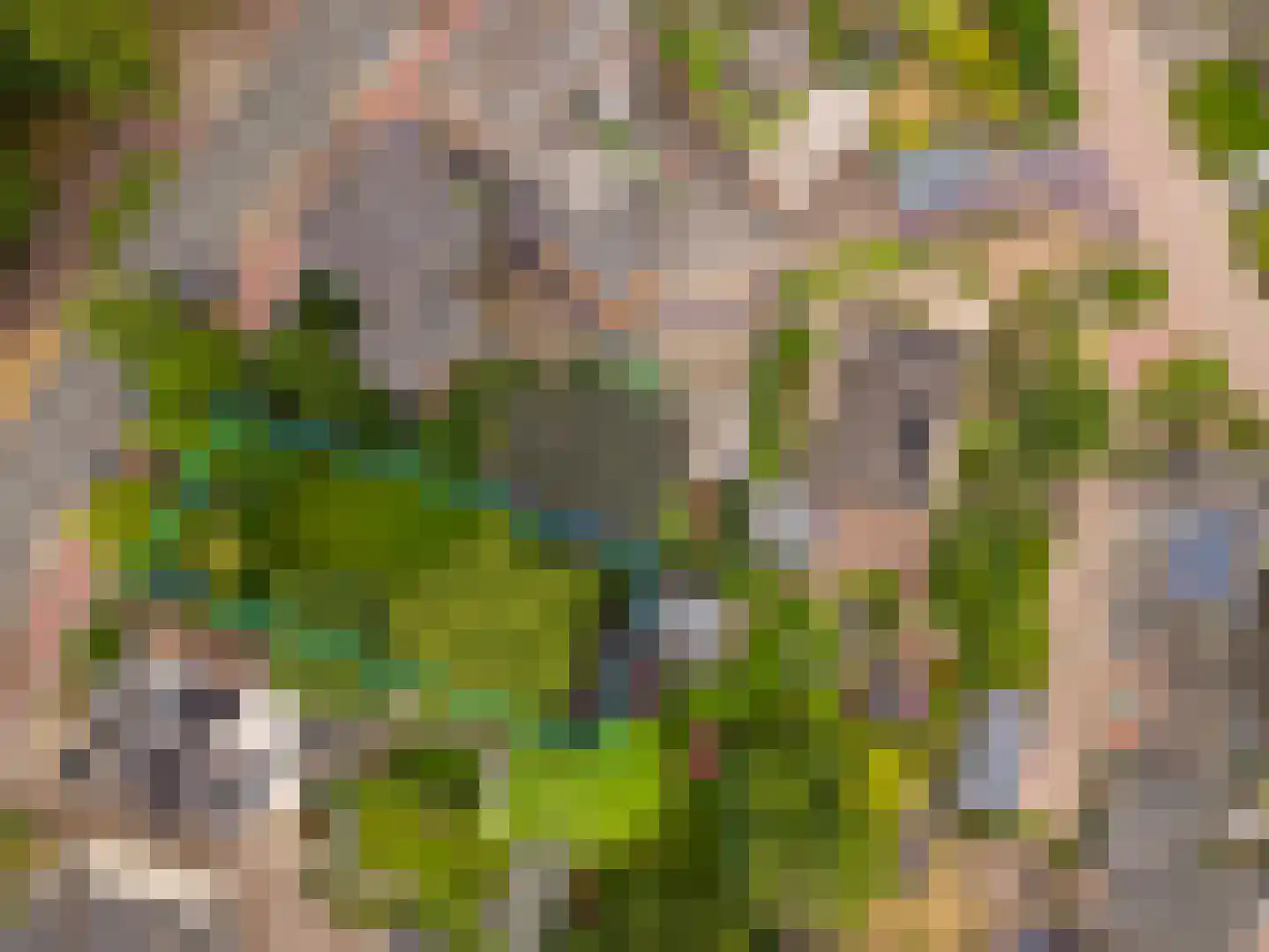 Terborgseweg 13 Silvolde thumbnail 51