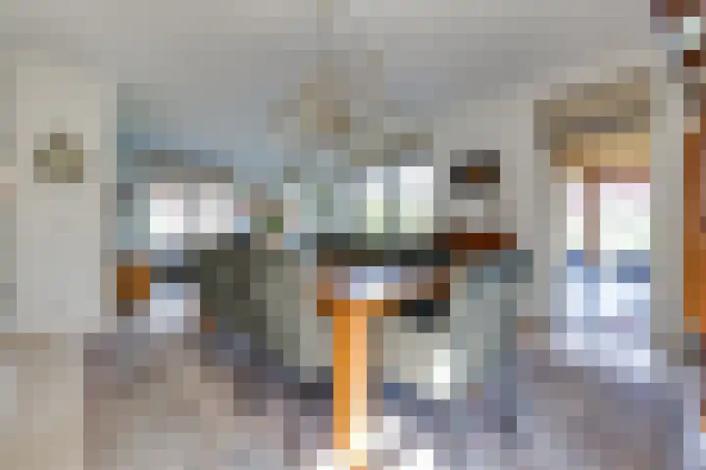 Terborgseweg 14 D Varsseveld thumbnail 16