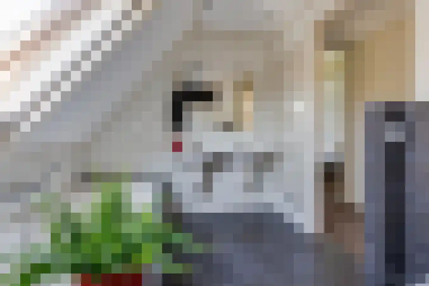 Terborgseweg 14 D Varsseveld thumbnail 22