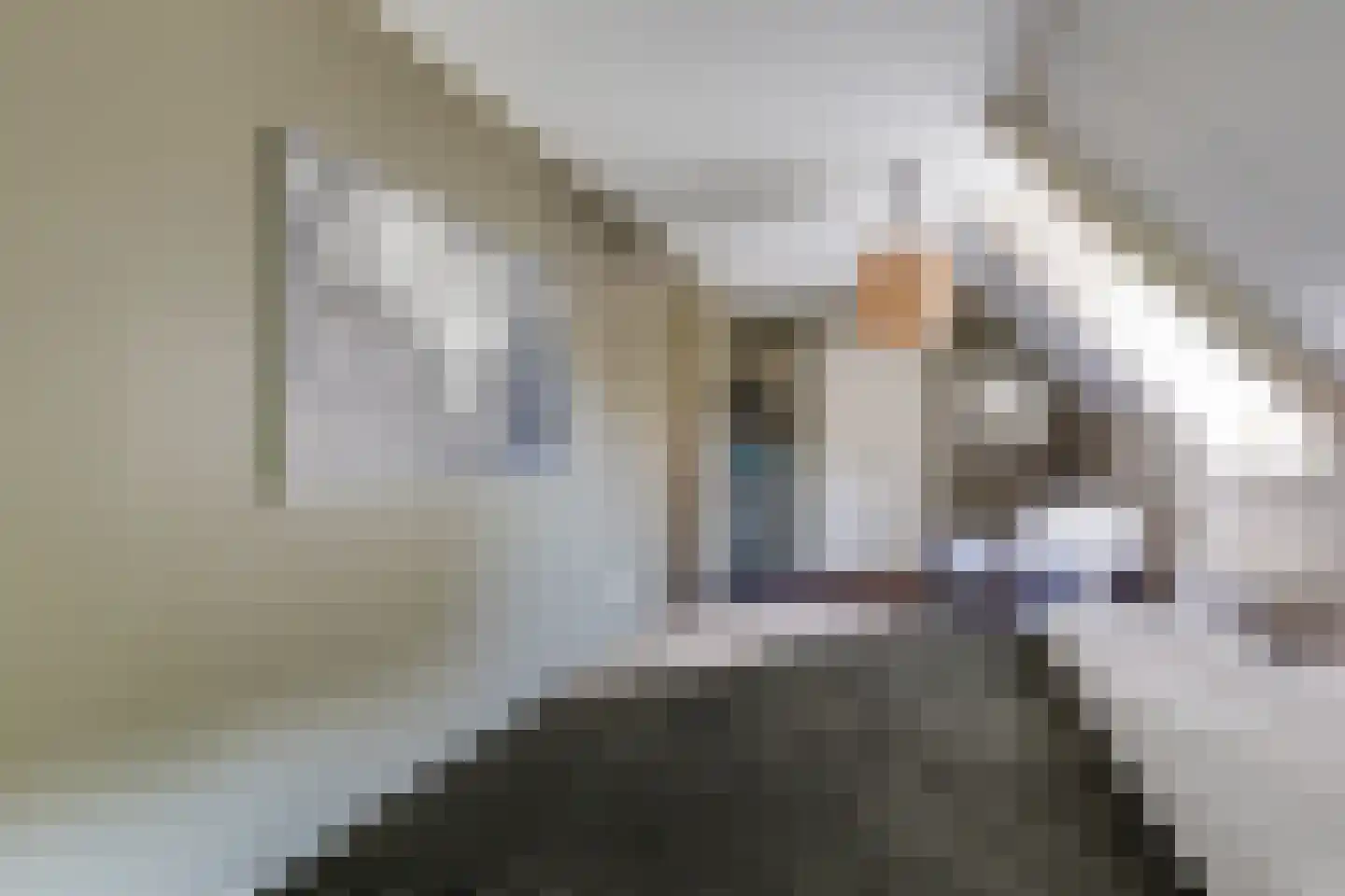 Terborgseweg 14 D Varsseveld thumbnail 27