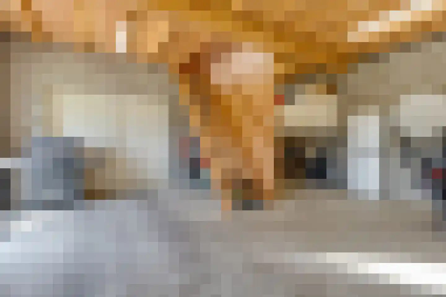 Terborgseweg 14 D Varsseveld thumbnail 59