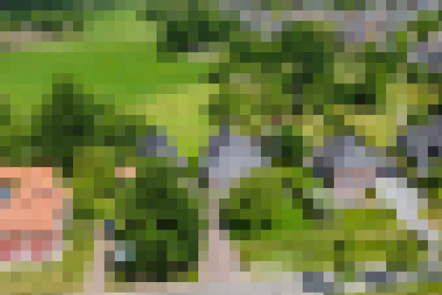 Terborgseweg 14 D Varsseveld thumbnail 6