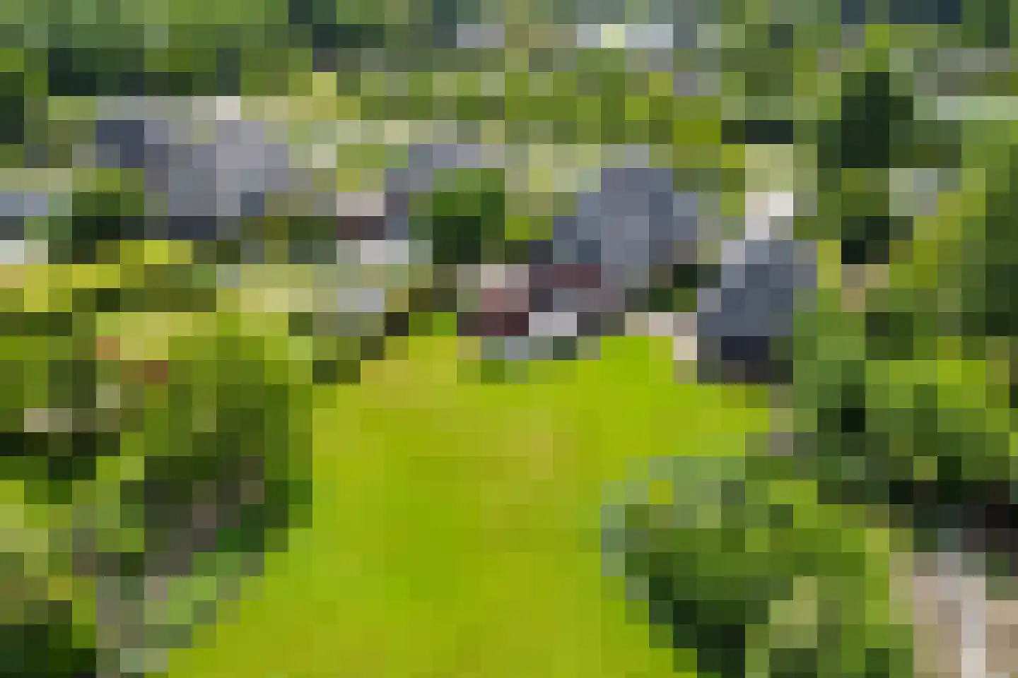 Terborgseweg 14 D Varsseveld thumbnail 61