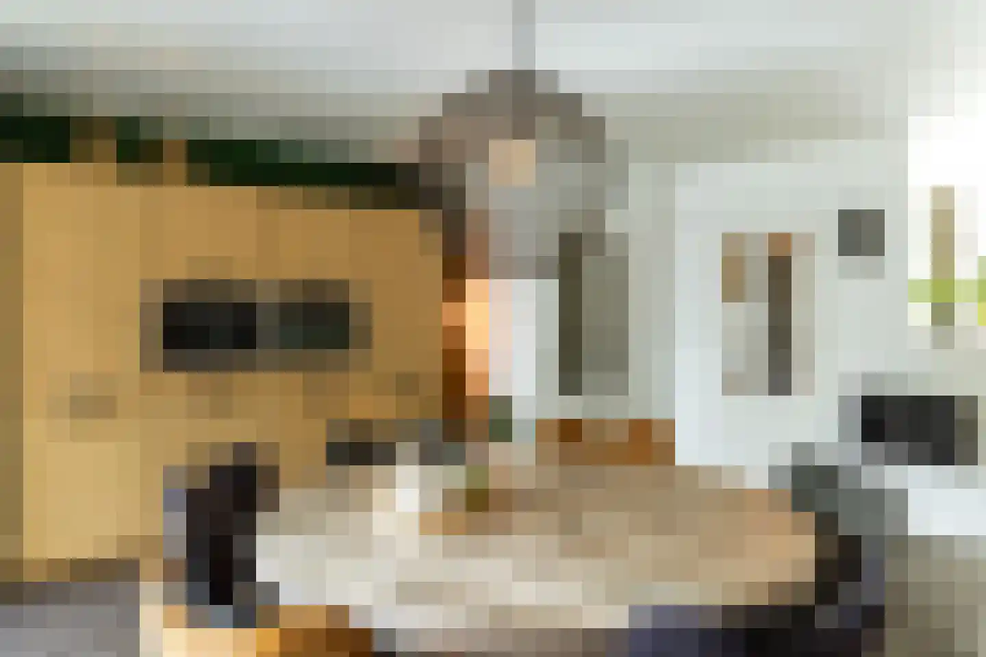 Terborgseweg 15 Silvolde thumbnail 13