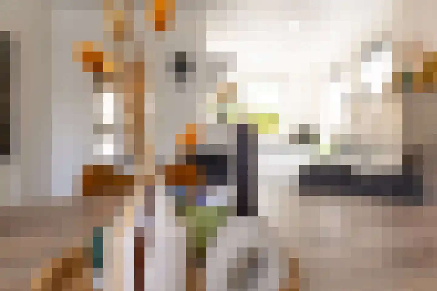 Terborgseweg 15 Silvolde thumbnail 19