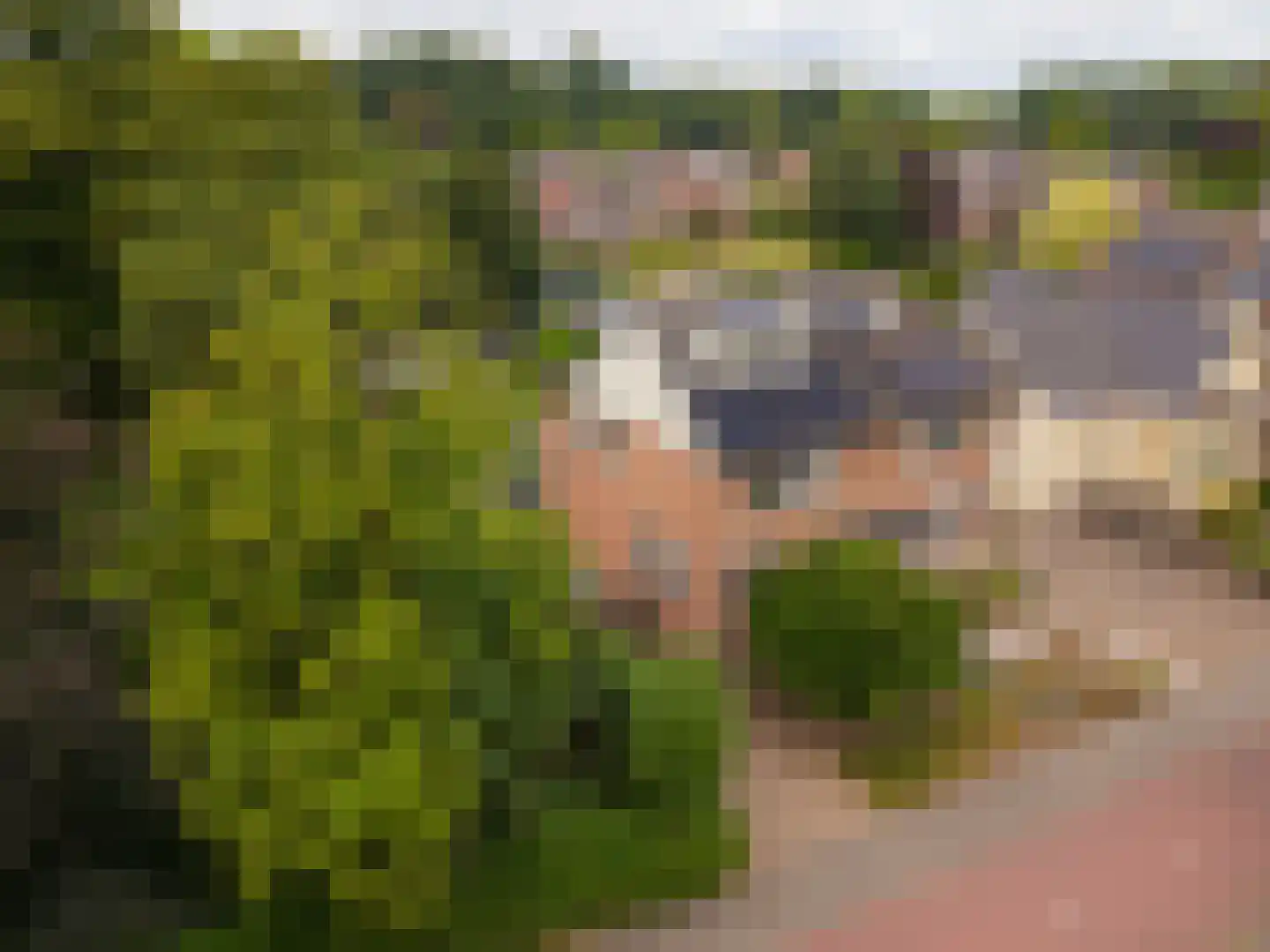 Terborgseweg 15 Silvolde foto 3