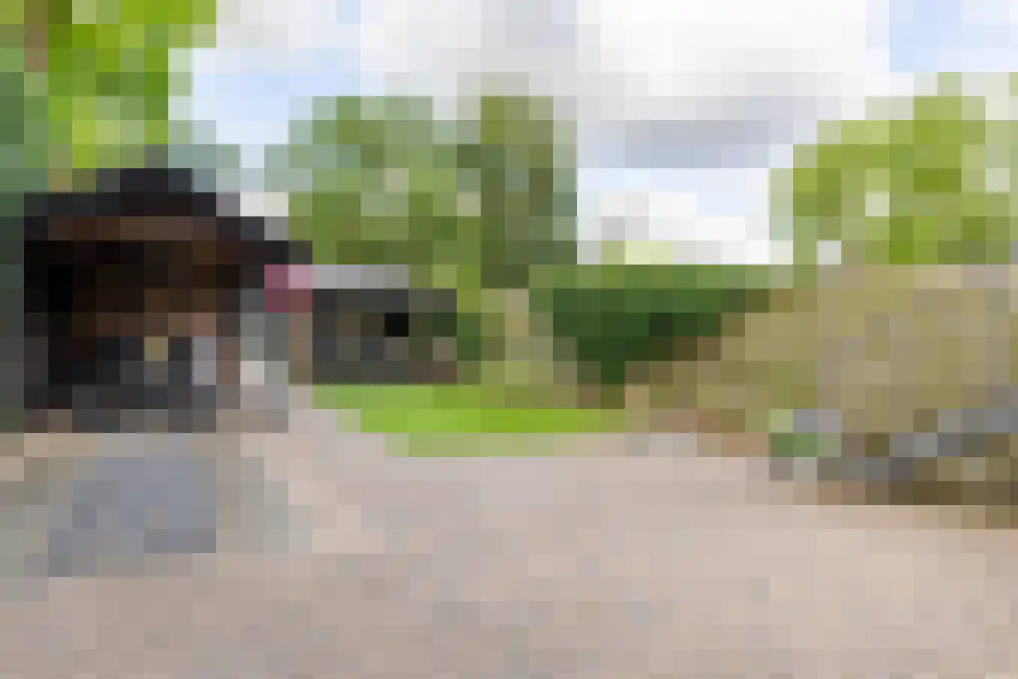 Terborgseweg 15 Silvolde thumbnail 36