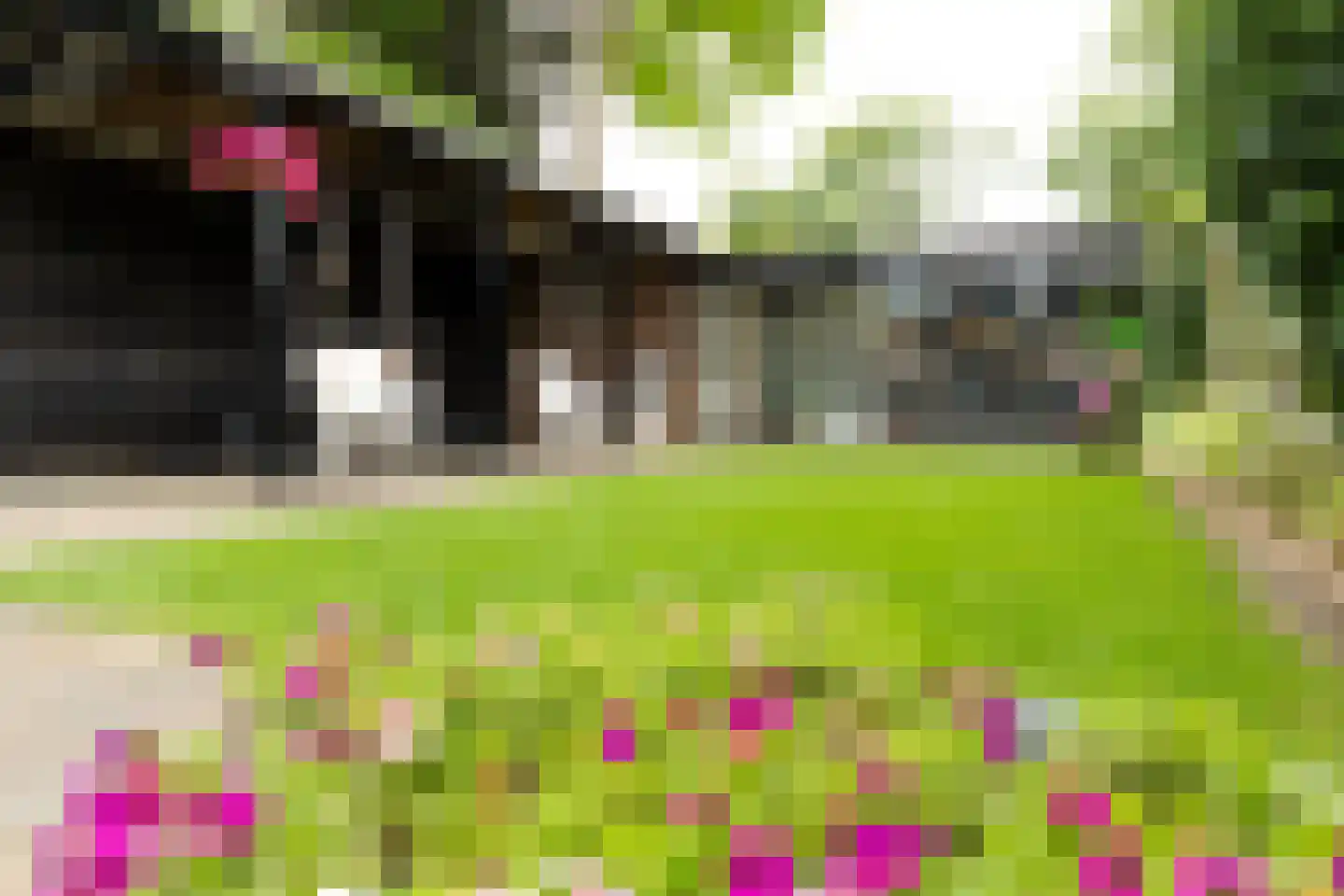 Terborgseweg 15 Silvolde thumbnail 37
