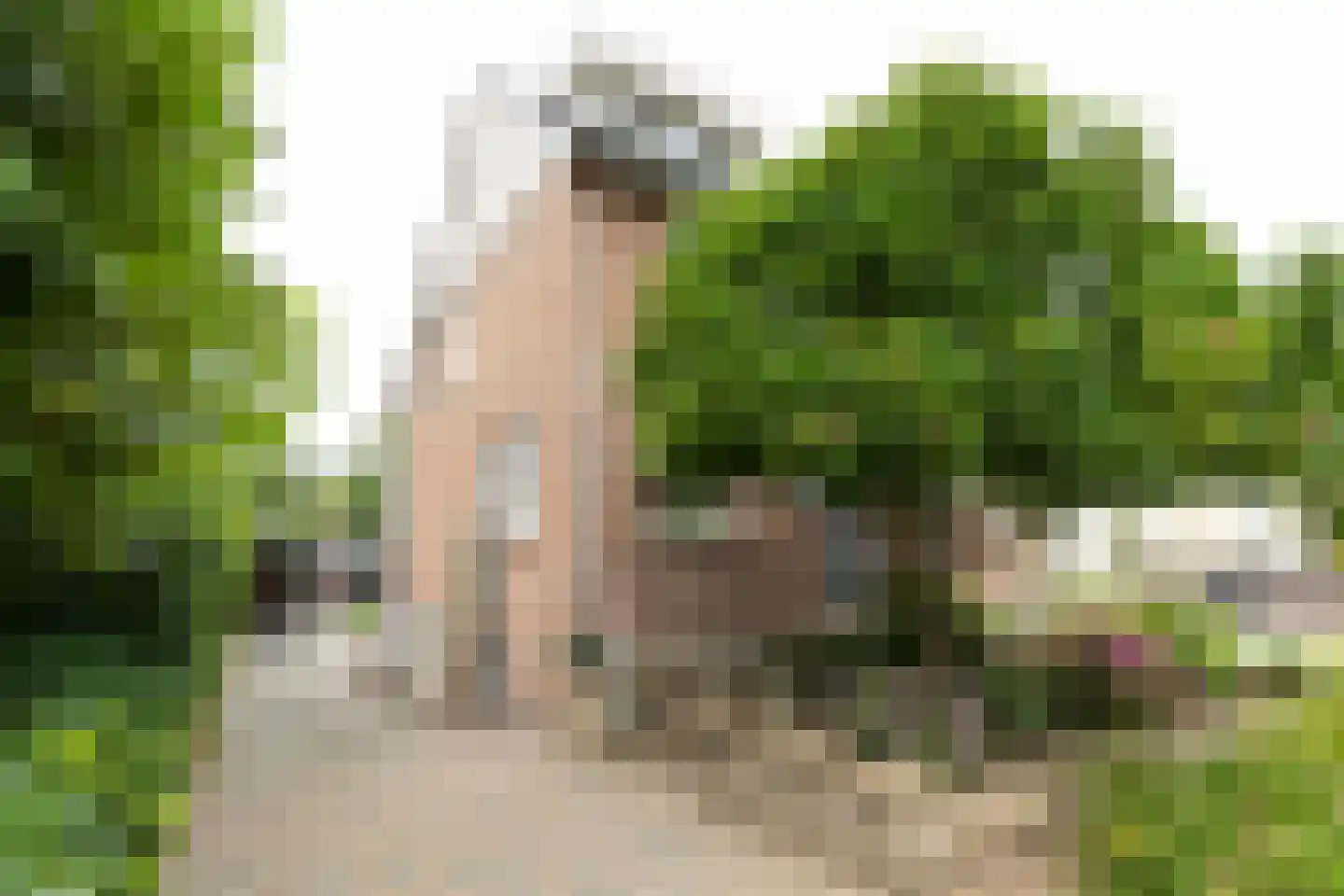 Terborgseweg 15 Silvolde thumbnail 4