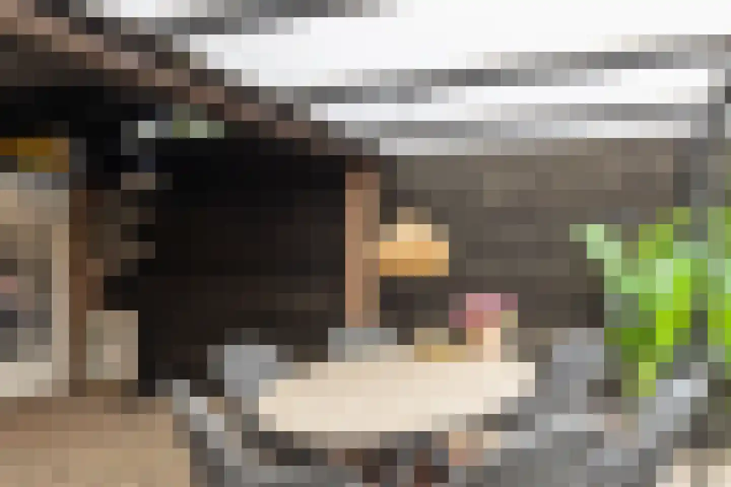 Terborgseweg 15 Silvolde thumbnail 40