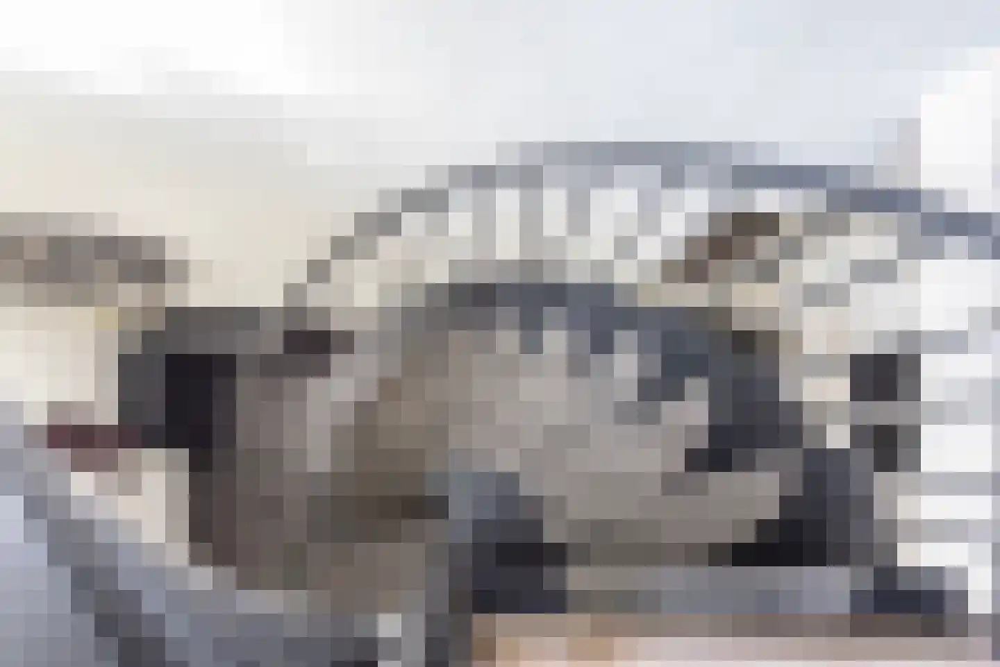Terborgseweg 18 A Breedenbroek thumbnail 32