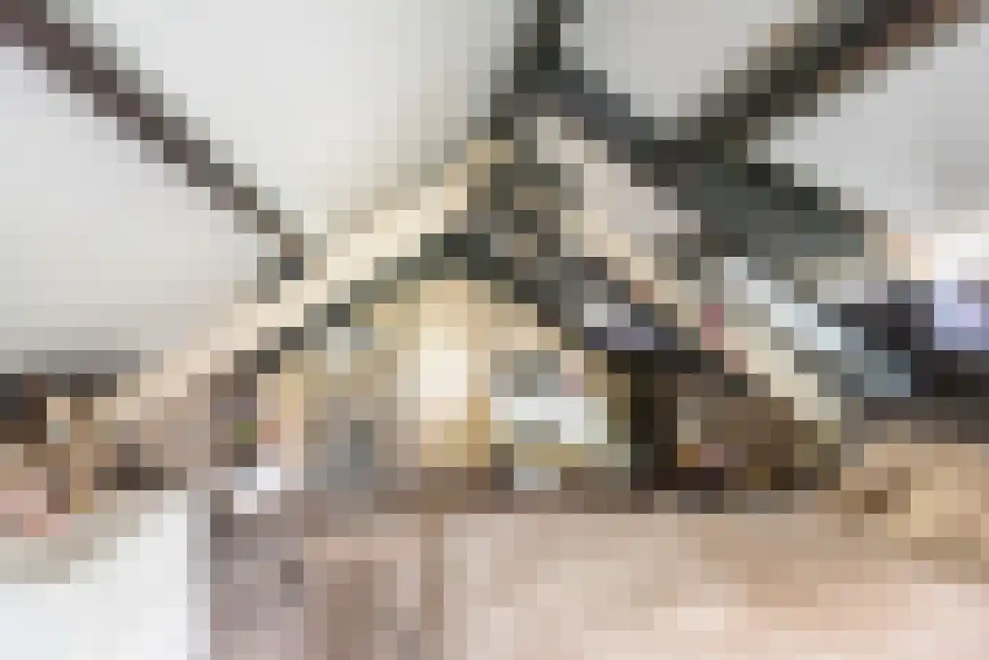 Terborgseweg 18 A Breedenbroek thumbnail 47