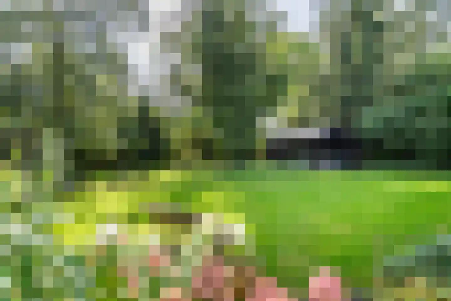 Terborgseweg 18 A Breedenbroek thumbnail 52