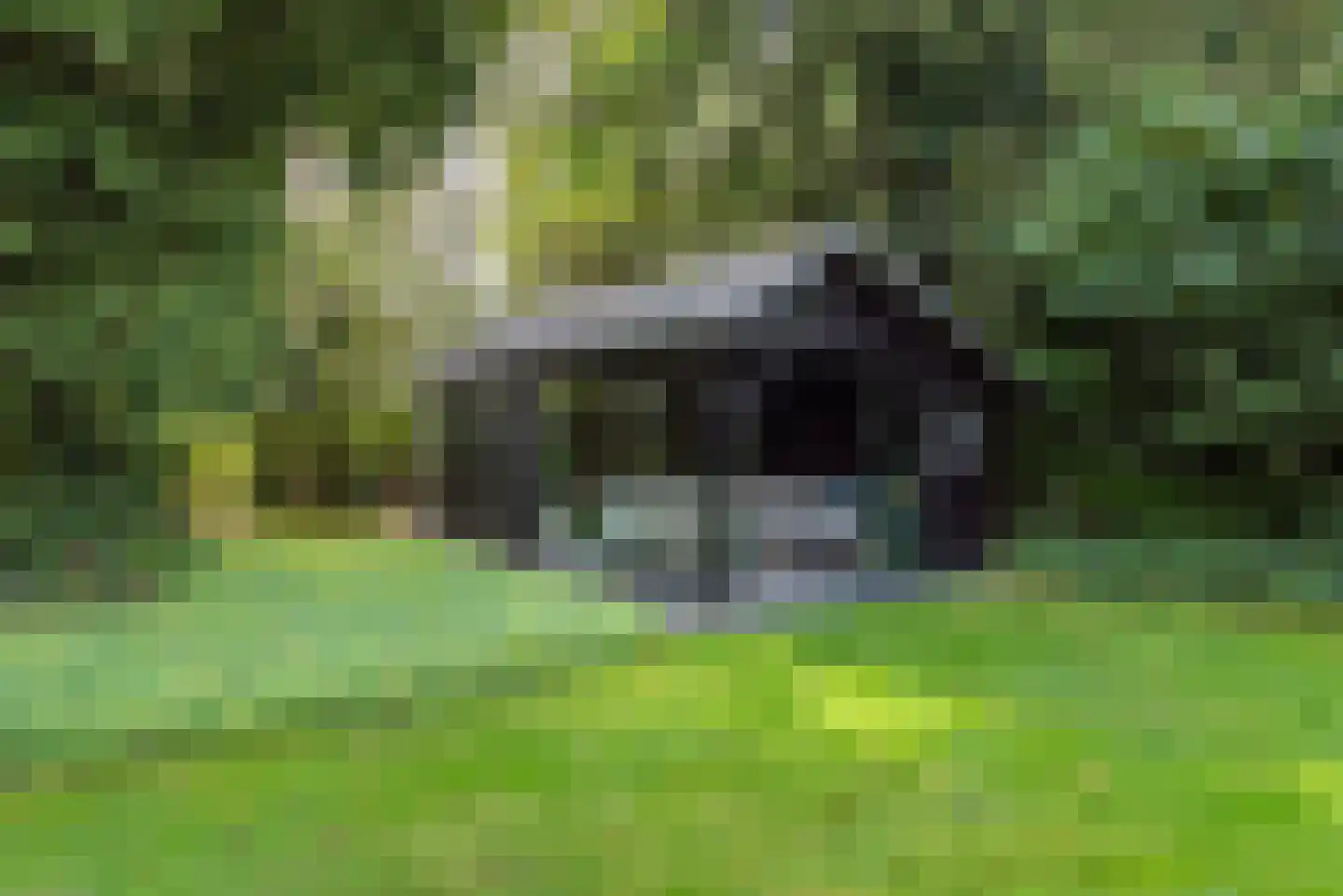 Terborgseweg 18 A Breedenbroek thumbnail 53