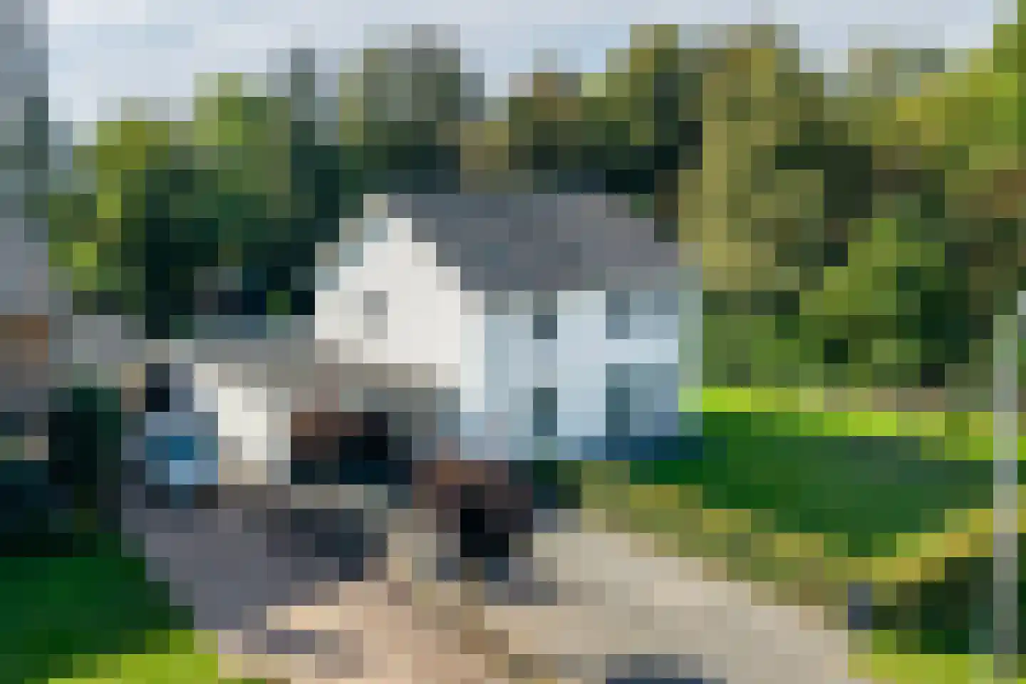 Terborgseweg 18 A Breedenbroek thumbnail 59