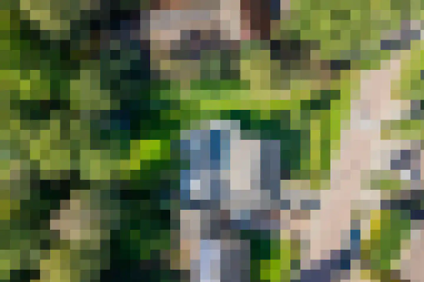 Terborgseweg 18 A Breedenbroek thumbnail 61