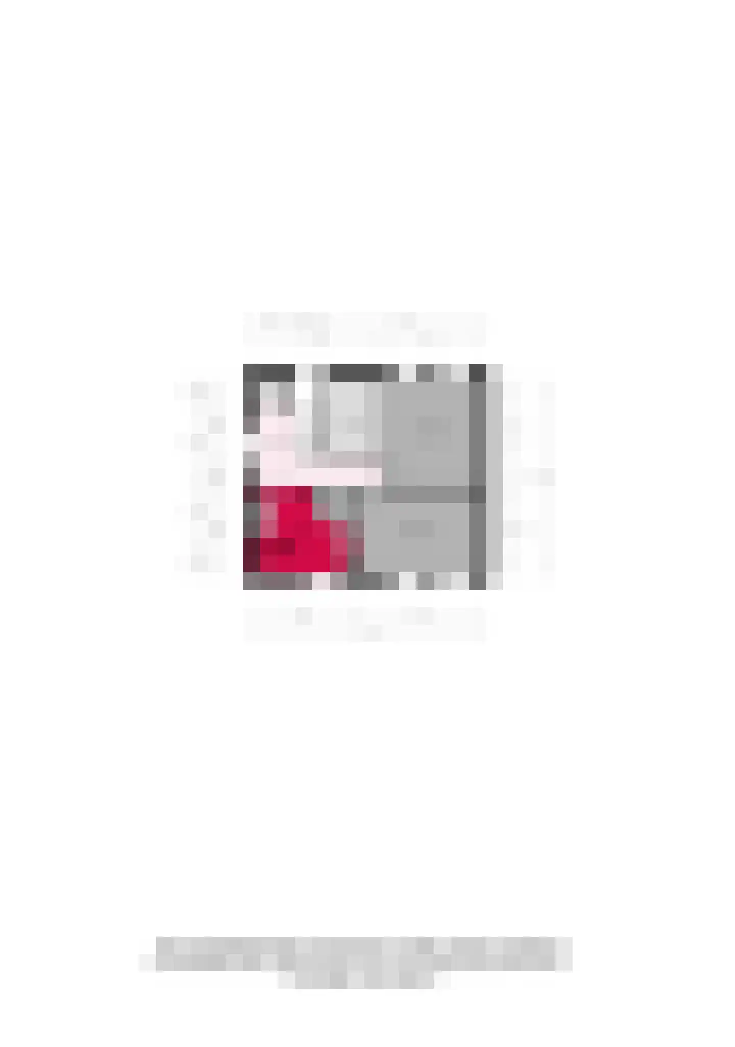 Terborgseweg 18 A Breedenbroek thumbnail 68