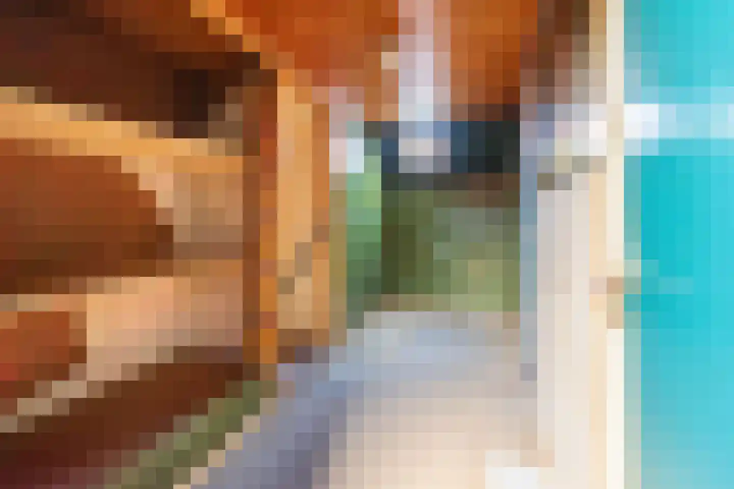 Terborgseweg 19 Dinxperlo thumbnail 28