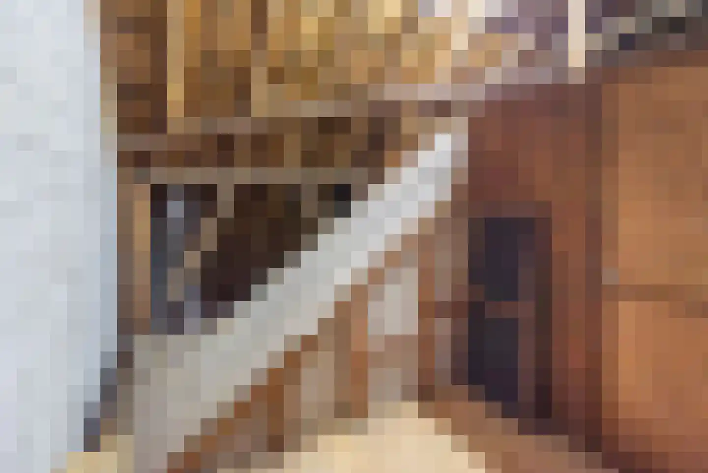 Terborgseweg 19 Dinxperlo thumbnail 34