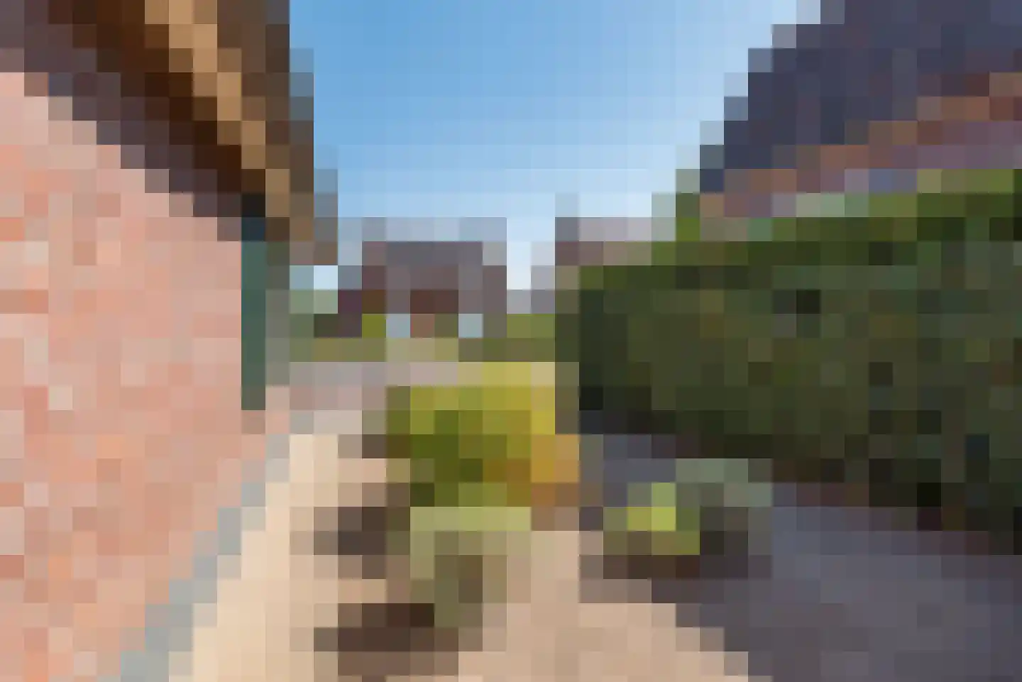 Terborgseweg 19 Dinxperlo thumbnail 8