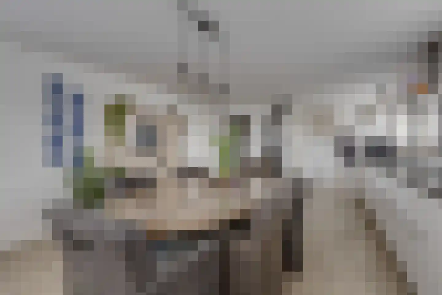 Terborgseweg 20 Westendorp thumbnail 12