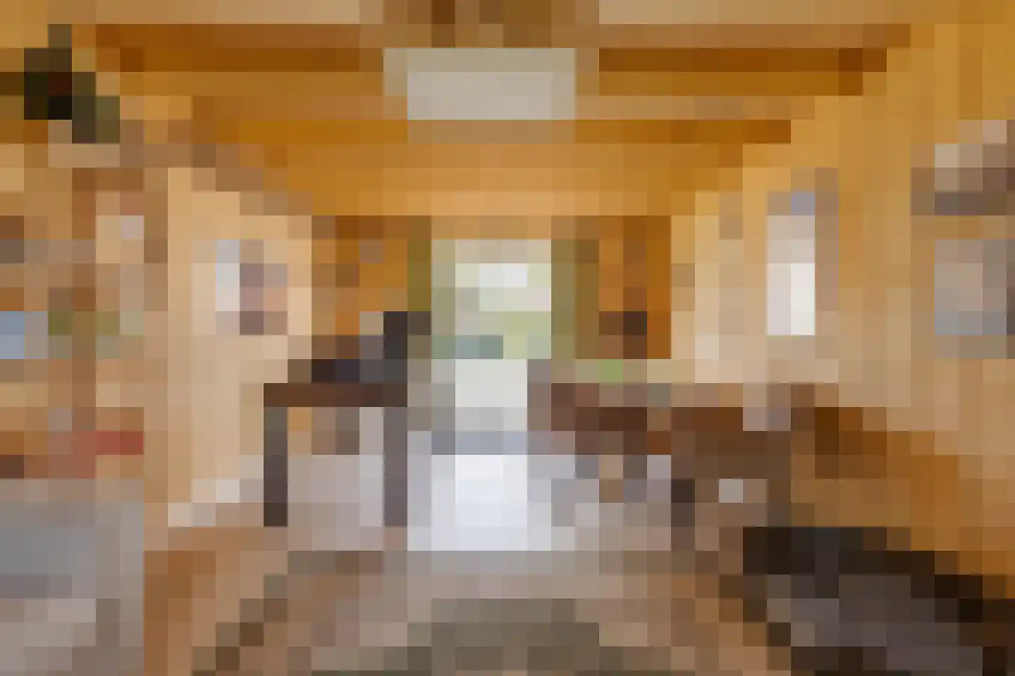 Terborgseweg 20 Westendorp thumbnail 34
