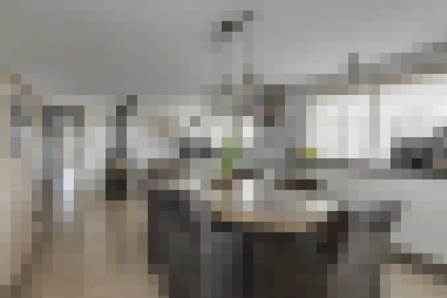 Terborgseweg 20 Westendorp thumbnail 9