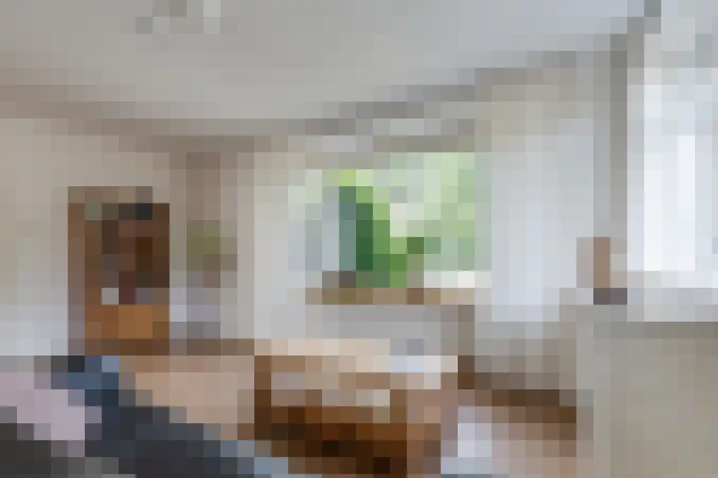 Terborgseweg 21 A Breedenbroek thumbnail 17