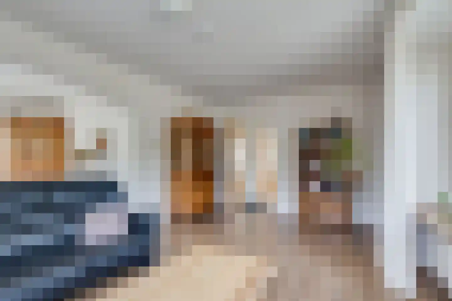 Terborgseweg 21 A Breedenbroek thumbnail 18