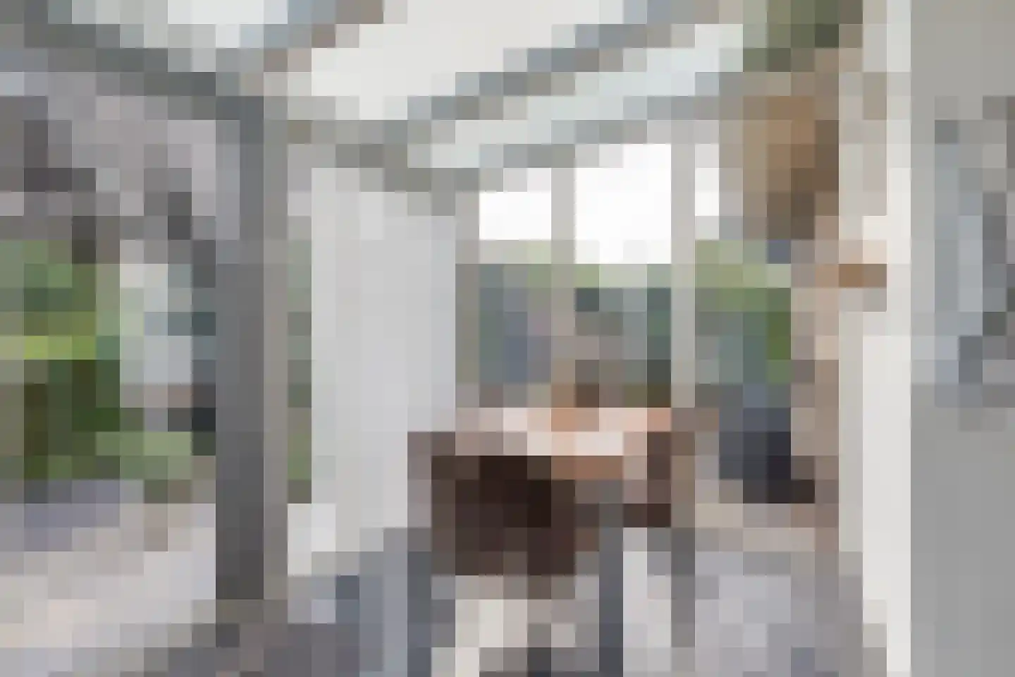 Terborgseweg 21 A Breedenbroek thumbnail 25